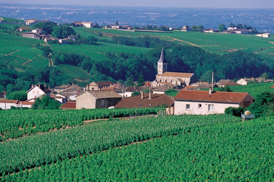 Vue du village de Juliénas, entouré de son vignoble Arthur LEROY - Iconotec