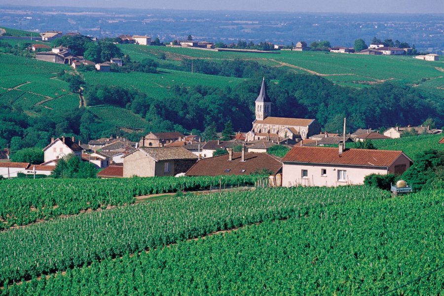 Vue du village de Juliénas, entouré de son vignoble Arthur LEROY - Iconotec