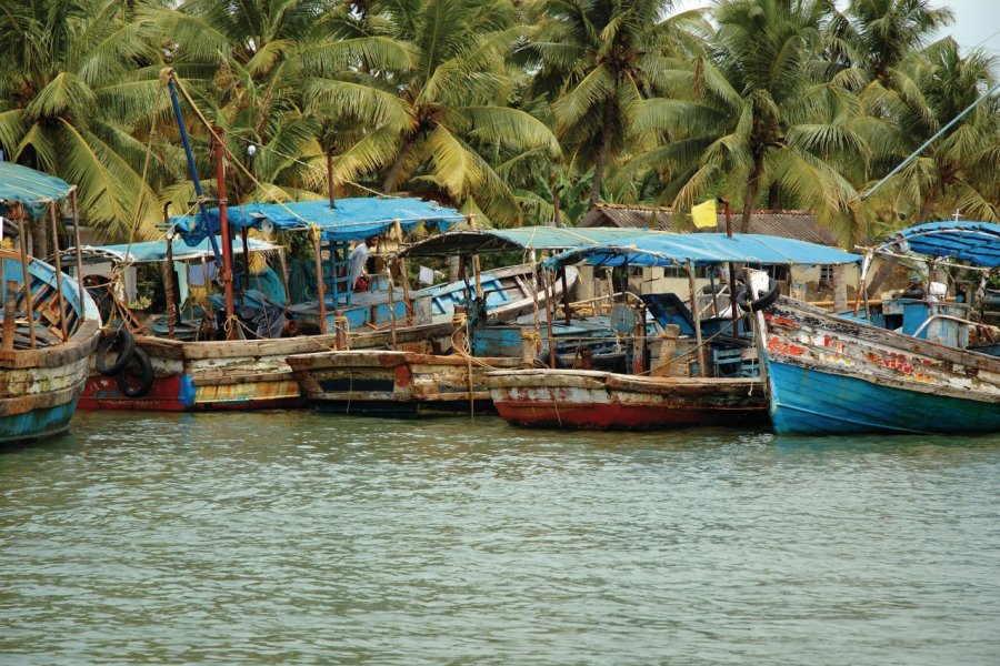 Bateaux de pêche des backwaters du Kerala. mchen007 - iStockphoto.com