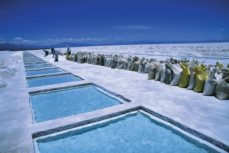 Exploitation du lac salé de Salar. Sylvie Ligon