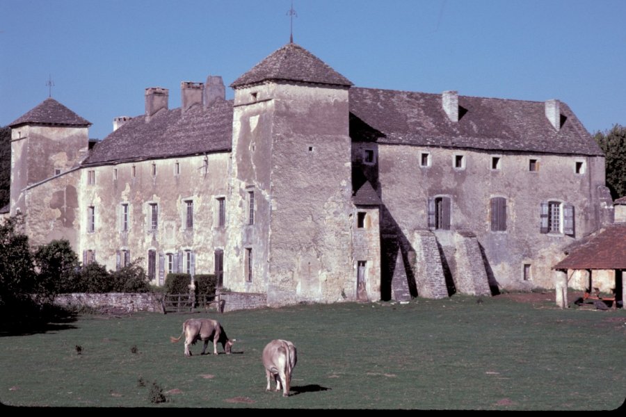 Le château d'Ozenay Alamer - Iconotec