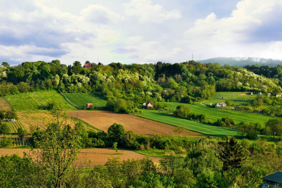 Parc national de Fruska Gora. jezica - Shutterstock.com