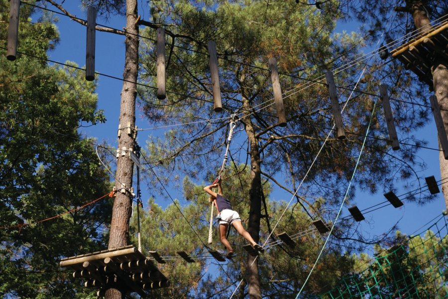 Accrobranche de Saint-Benoit-la-Forêt. DR