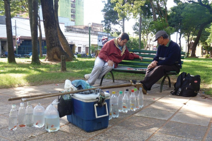 Pause et partie d'échecs pour le vendeur de poissons rouges sur la Plaza Uruguaya, Asuncinón. Nicolas LHULLIER