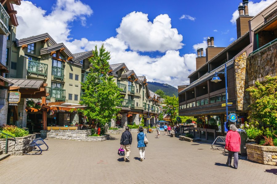 Whistler. Volodymyr Kyrylyuk - Shutterstock.com