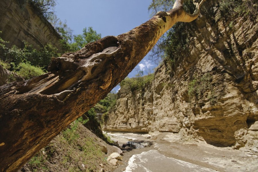 Gorge Hell's Gate National Park paulos1 - Fotolia