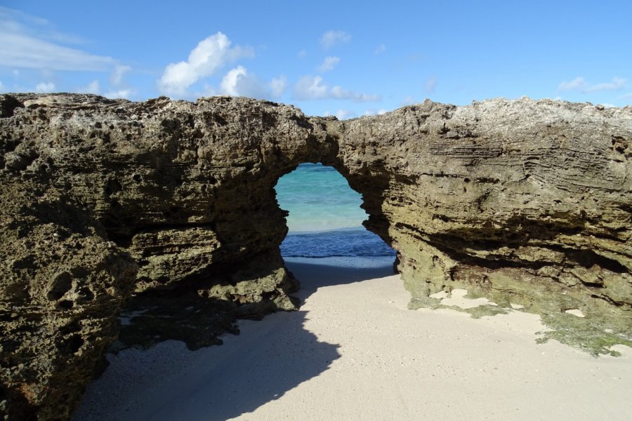 Paradise Island, Santa Carolina. Elisa Vallon