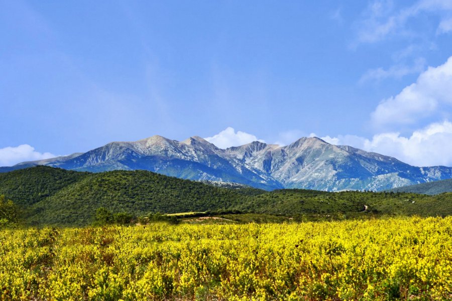 Massif du Canigó. brimeux - stock.adobe.com