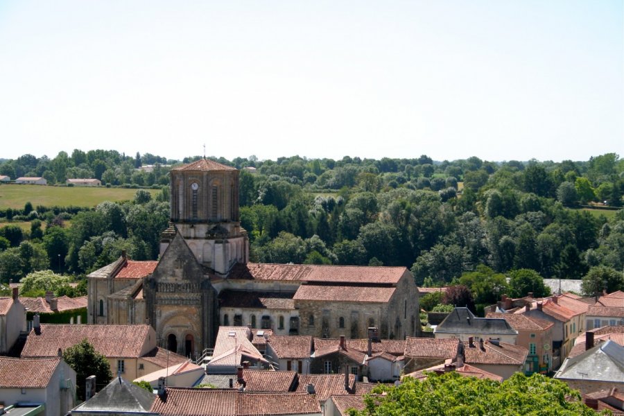 Vouvant vue de haut Romain Rodier