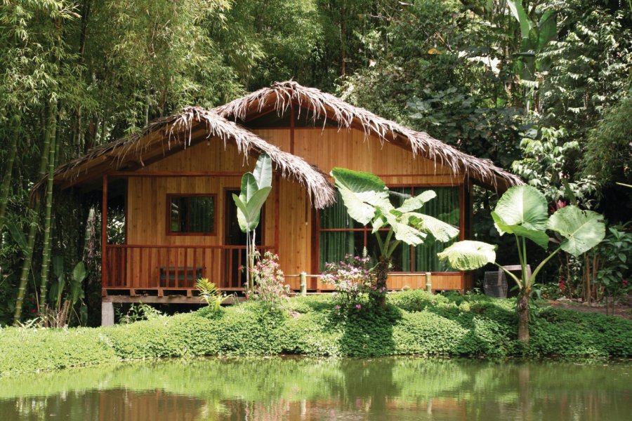 Cabaña de Mindo dans un environnement luxuriant. Stéphan SZEREMETA