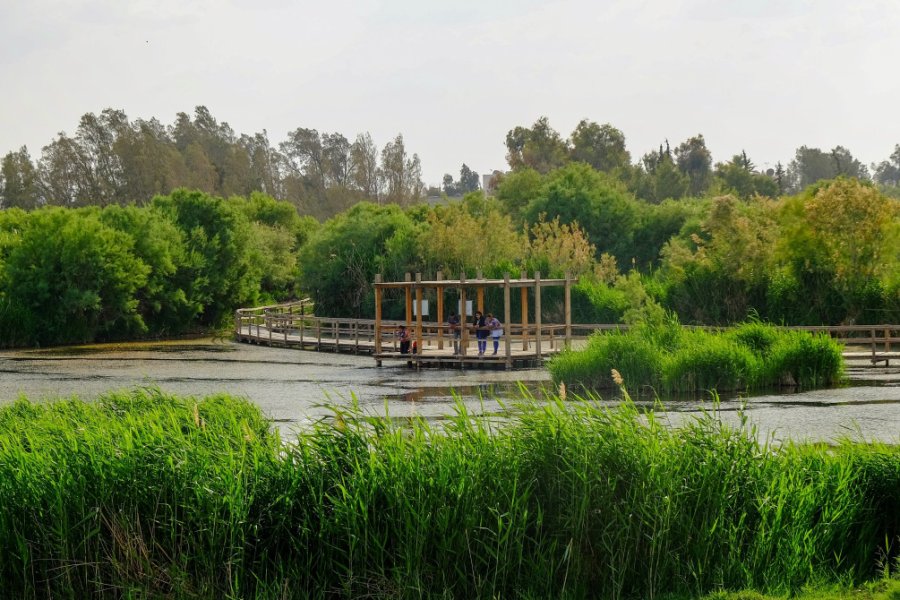 Le marais d'Azraq est le lieu idéal pour observer les oiseaux. Wirestock Creators - Shutterstock.Com
