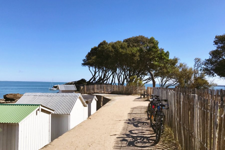 Cabines plage des Dames. Linda CASTAGNIE