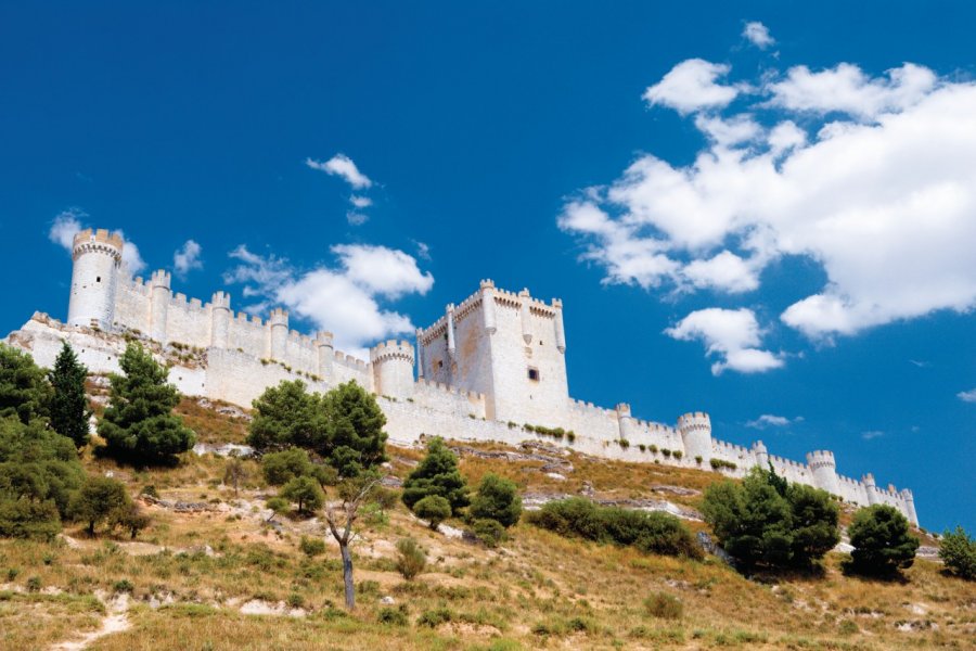 Château de Peñafiel. Author's Image