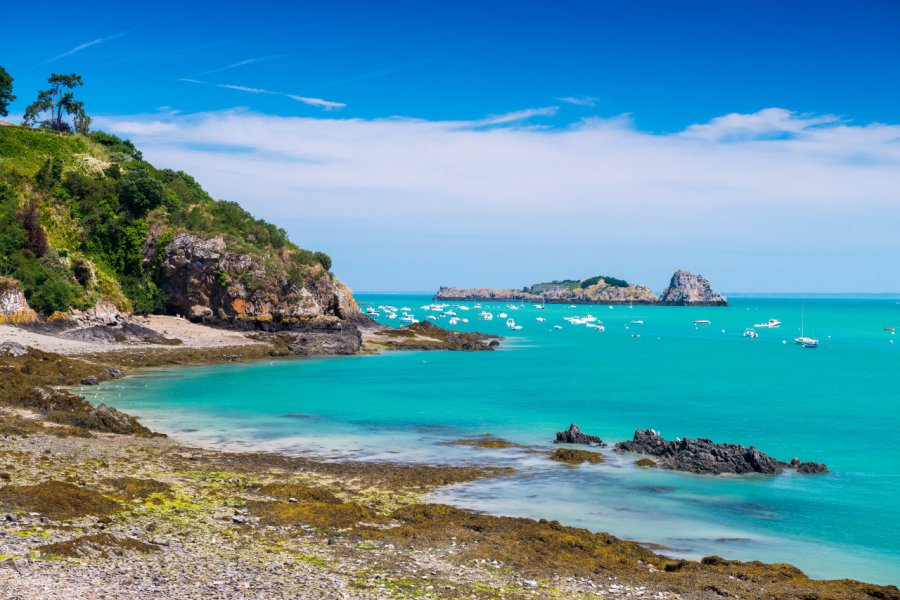 Côte de Cancale. GagliardiPhotography - Shutterstock.com