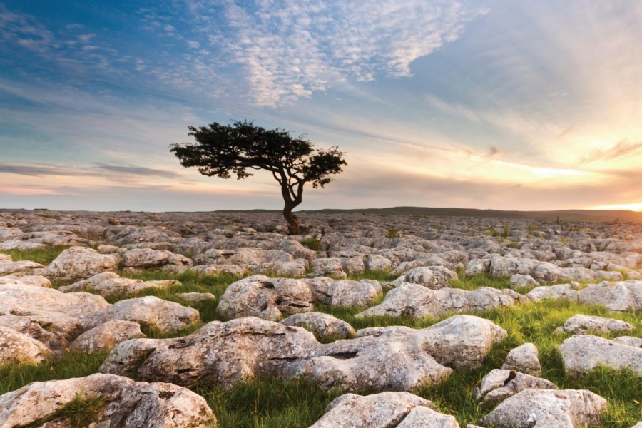 Yorshire Dales National Park. Neetanic - iStockphoto