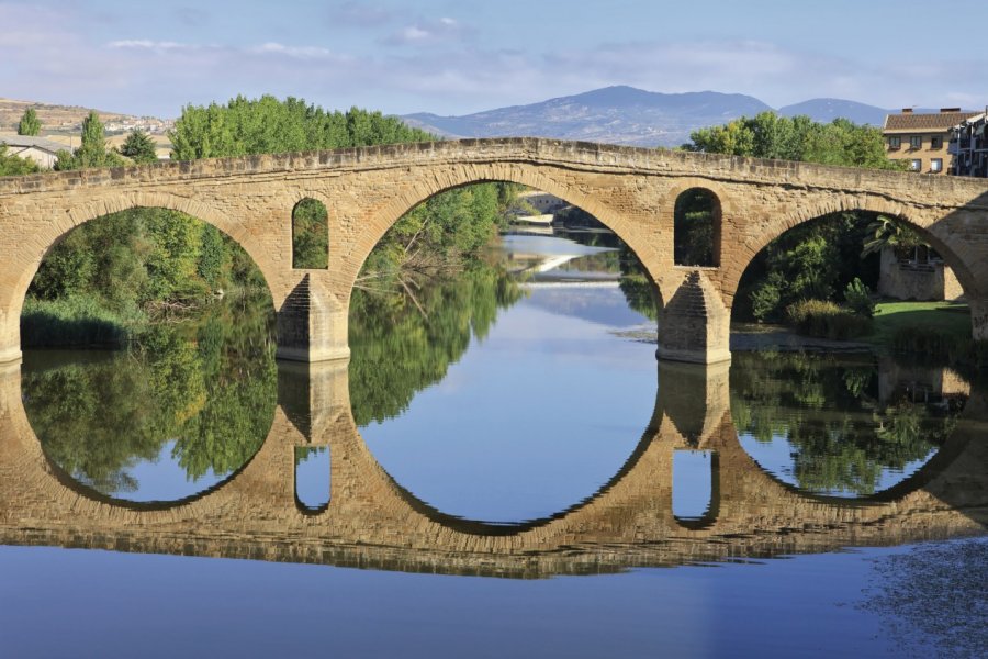 Pont roman de Puente la Reina. Fulcanelli - Fotolia