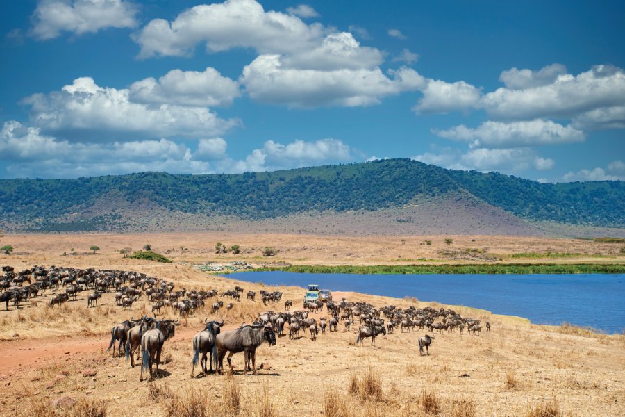 Cratère de Ngorongoro. guenterguni - iStockphoto.com