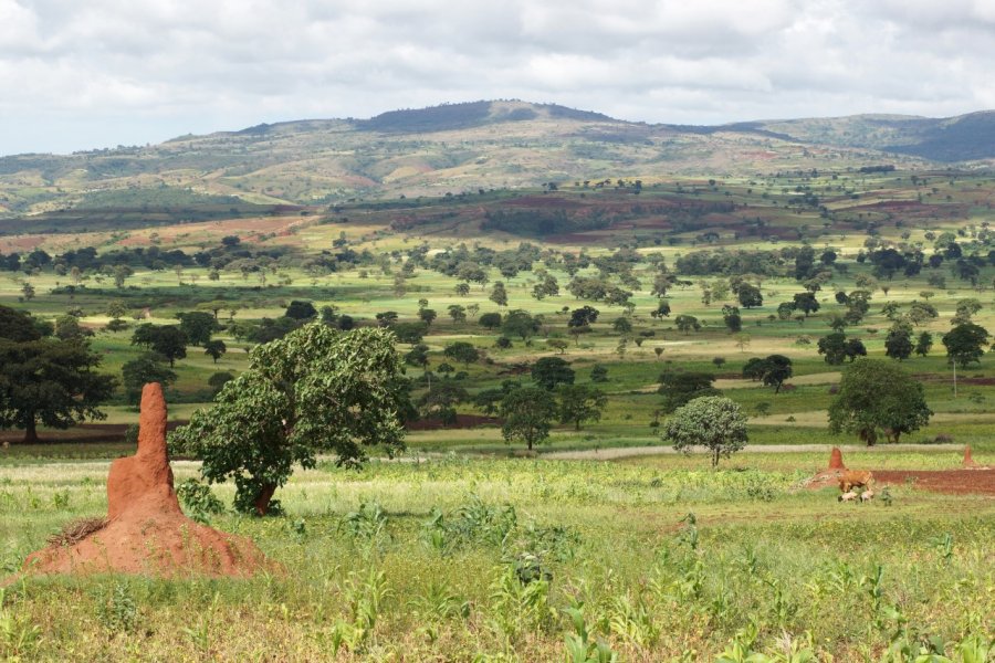 Paysage de Yabelo. Alfotokunst / Shutterstock.com