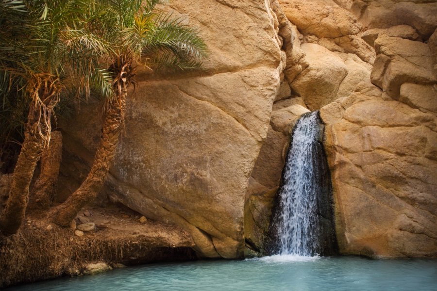 Cascade de Tamerza, dans l'oasis de Chebika. Dasha Petrenko - Shutterstock.com