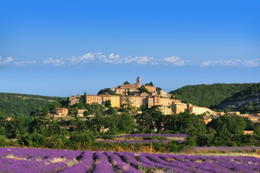 Lavande au pied du village de Banon. Tilio & Paolo - Fotolia