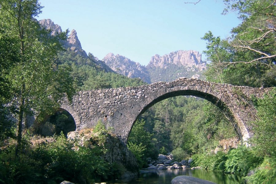 Pont gènois sur l'Inzecca Xavier Bonnin