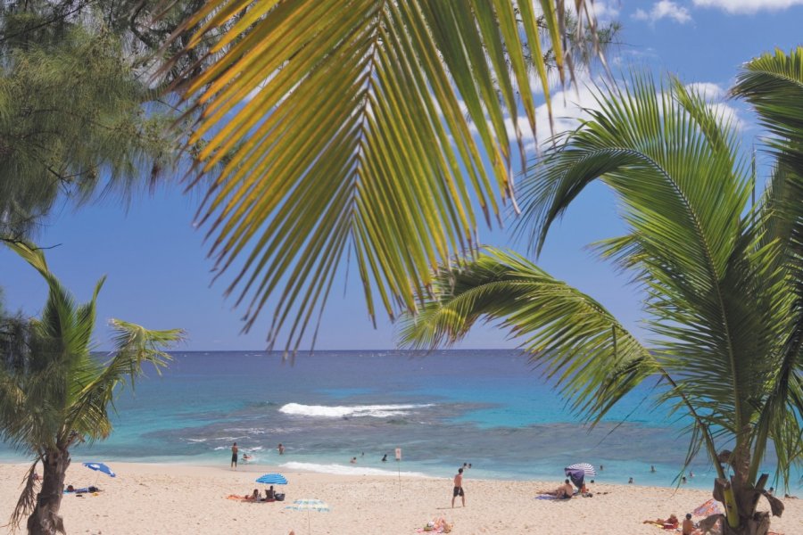 Plage de Boucan-Canot. Author's Image