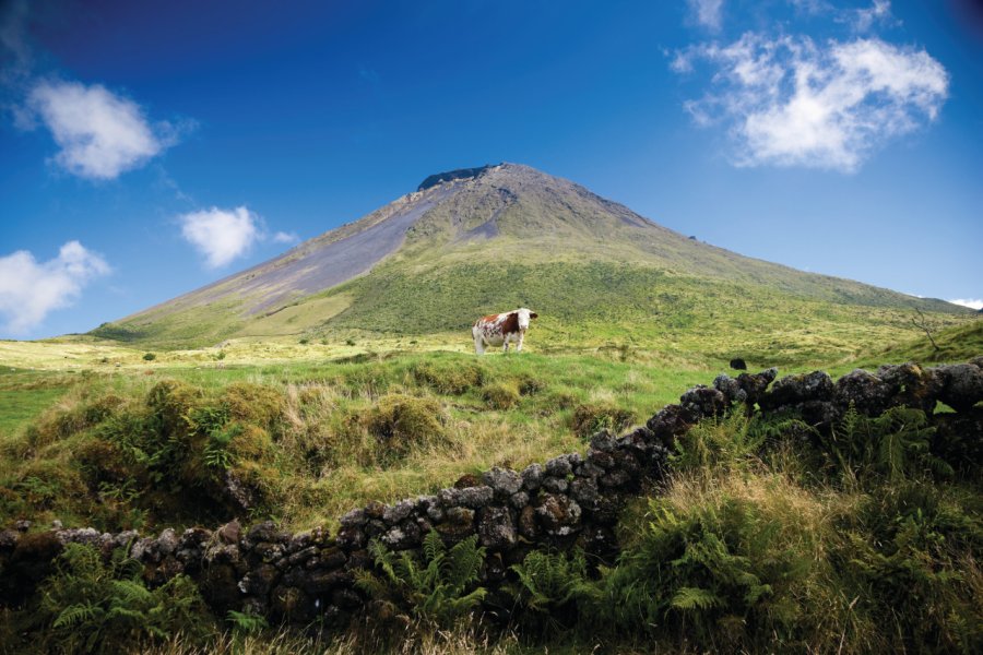 Mont Pico, Stratovolcan, Açores. Mlenny - iStockphoto.com