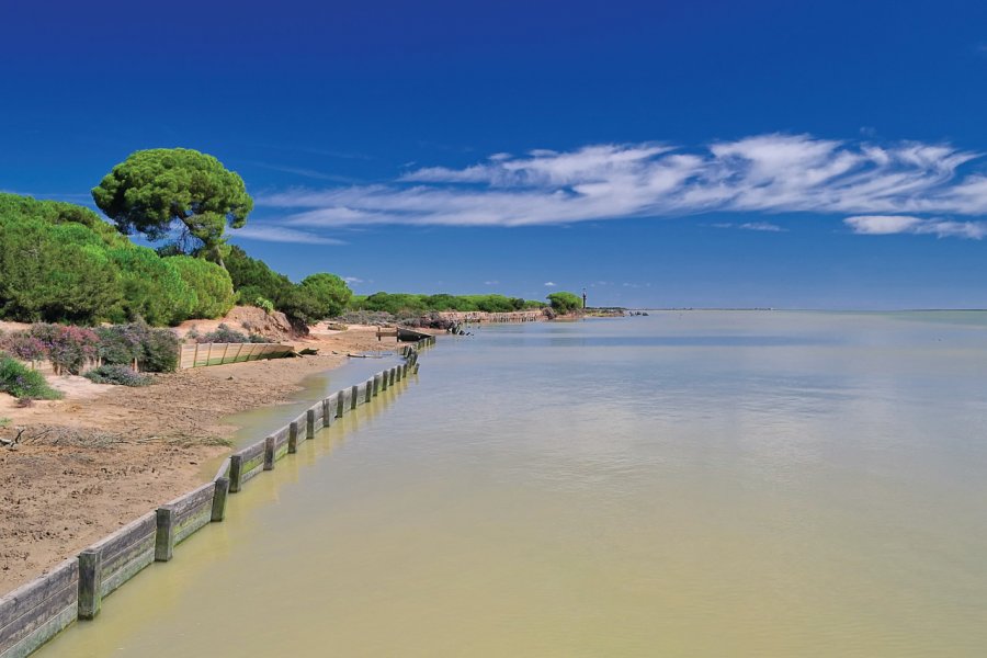 Parque nacional de Doñana. StockPhotoAstur - iStockphoto