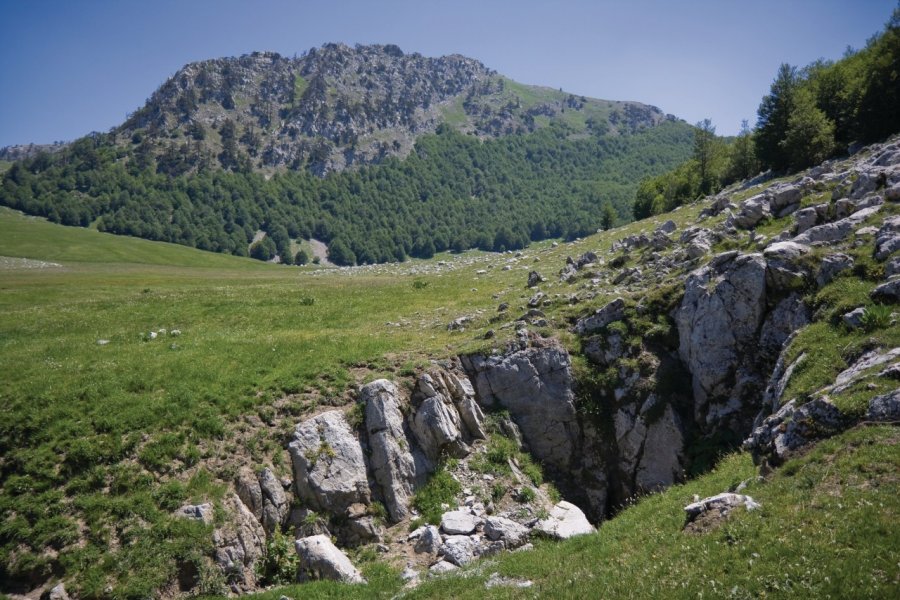 Parc national du Pollino. Enrico863 - Fotolia