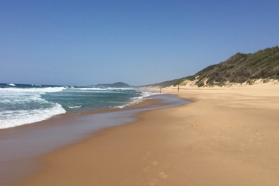 Plage de Ponta Do Ouro. Wil - Fotolia