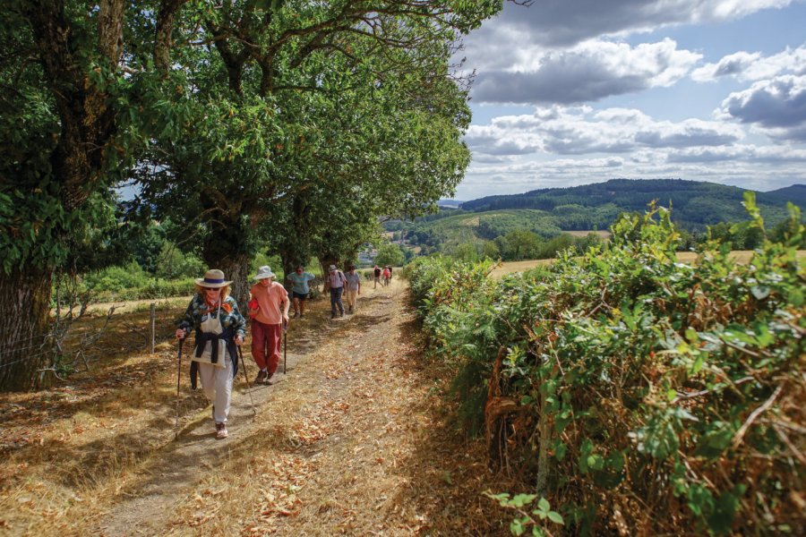 Balade d'été avec guide, St-Léger-sous-Beuvray. Office du Grand Autunois Morvan - Aurélie Stapf, photographe (porteurdesonge.com)