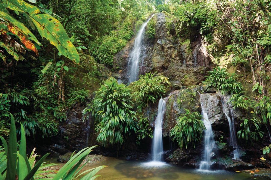 Cascade de Tobago. ImagesbyDebraLee