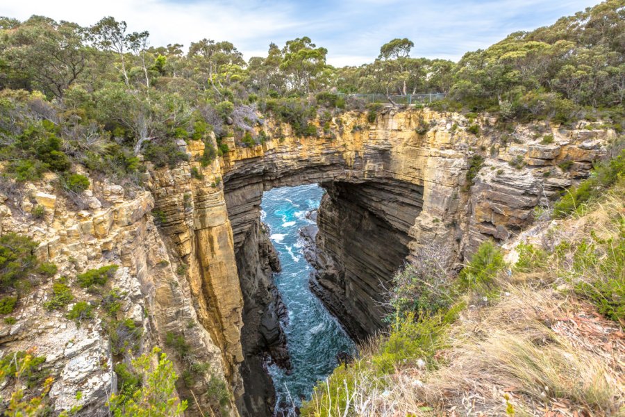 L'Arche Tasman dans la péninsule de Tasman. Benny Marty - Shutterstock.com