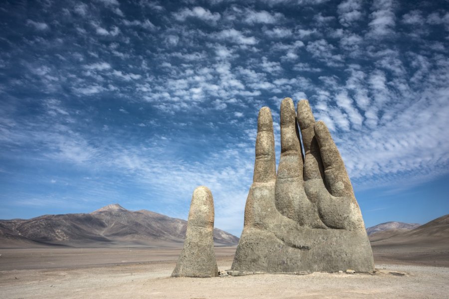 Mano del Desierto. Ksenia Ragozina / Shutterstock.com