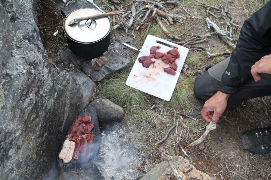 La viande de boeuf musquée est très savoureuse. Stéphan SZEREMETA