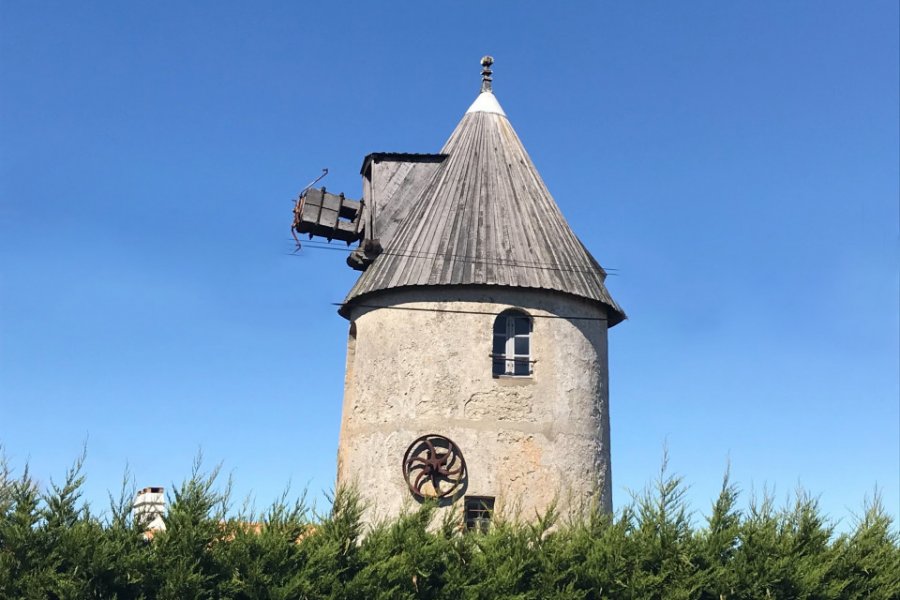 Moulins de l'île de Noirmoutier. (© Linda CASTAGNIE))