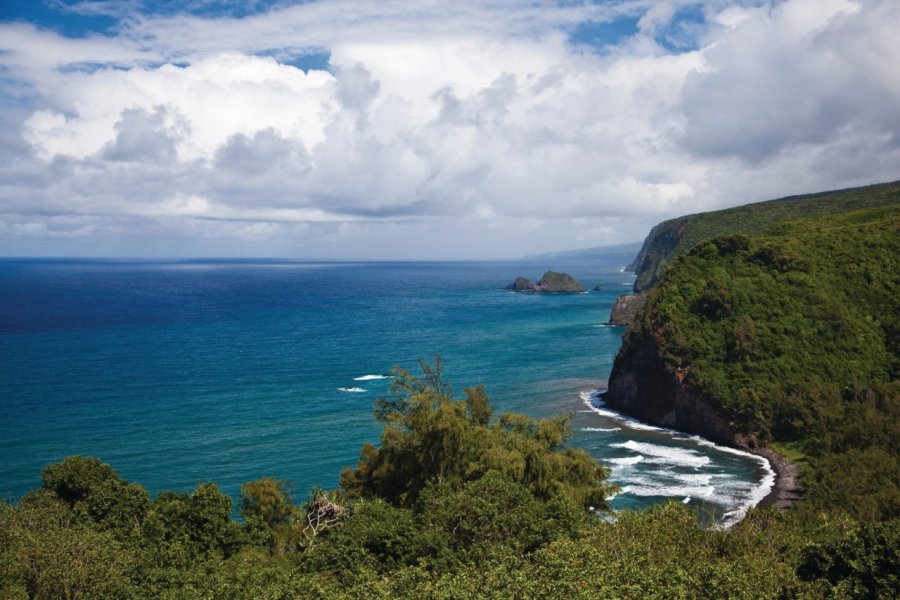 Pololu Valley lookout. Hawaii Tourism Authority (HTA) / Tor Johnson