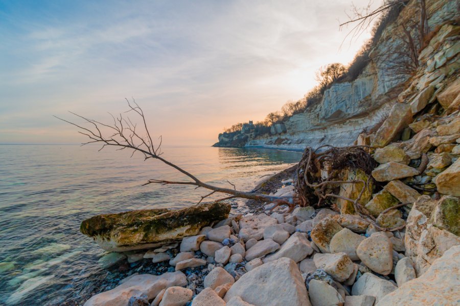 Les falaises de Stevns Klint. dba87 - Shutterstock.com