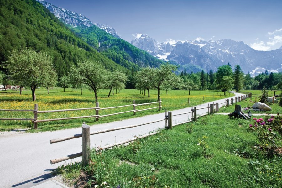 Logarska Dolina. mbbirdy - iStockphoto.com