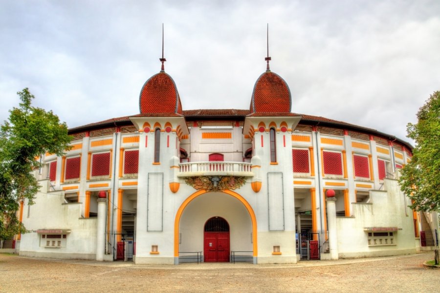 Les arènes. Leonid Andronov