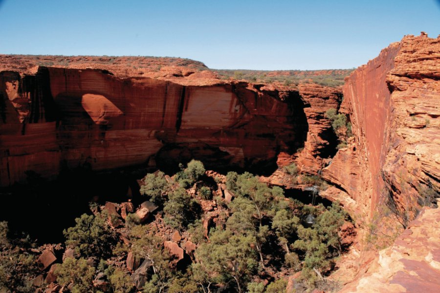 Kings Canyon. Tourism Northern Territory / Mark Marcelis