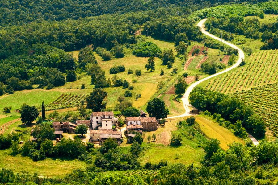 L'Istrie verte est surnommée la Toscane verte. Viacheslav Savitskiy - Shutterstock.Com