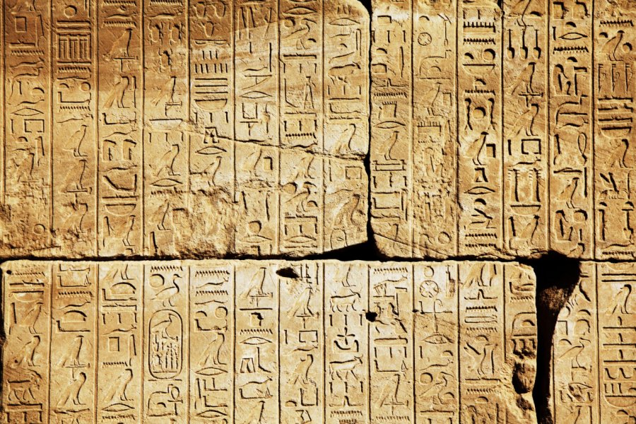 Hiéroglyphes au Musée égyptien. Galyna Andrushko - Shutterstock.com