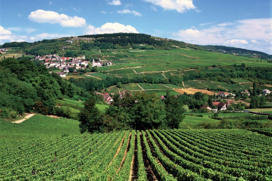 Paysage de Saône-et-Loire. AM stock nature