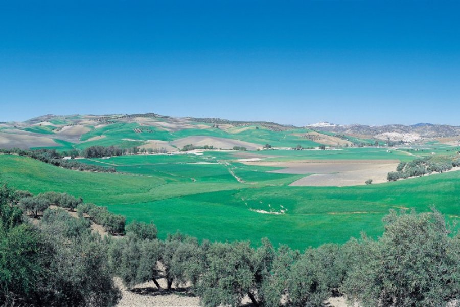 Olvera est entouré de vastes terrains verdoyants. Joséphine - Iconotec