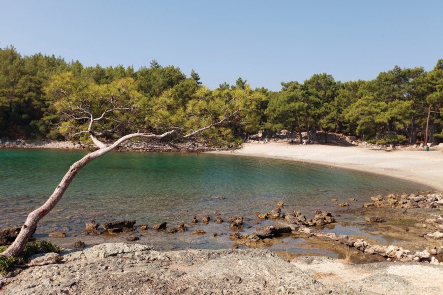 Plage de Phasélis. David GUERSAN - Author's Image