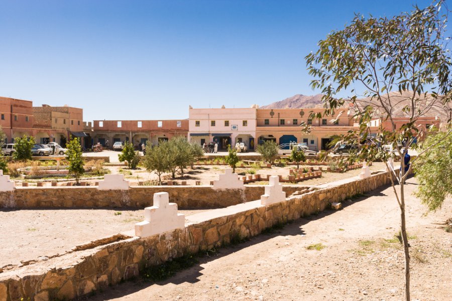 Tagmout. Laurens Hoddenbagh - shutterstock.com