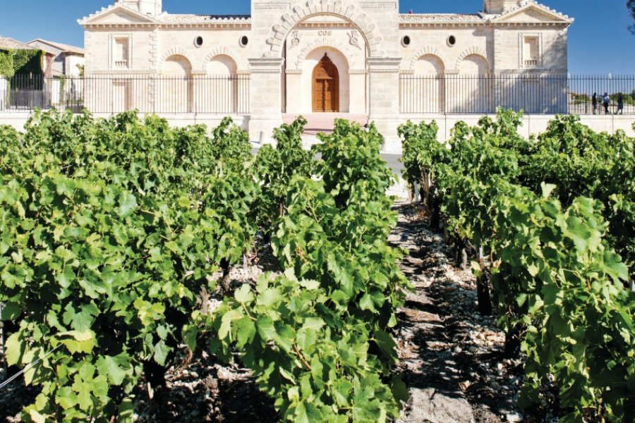 Le château Cos d'Estournel (© PHB.cz - Fotolia))