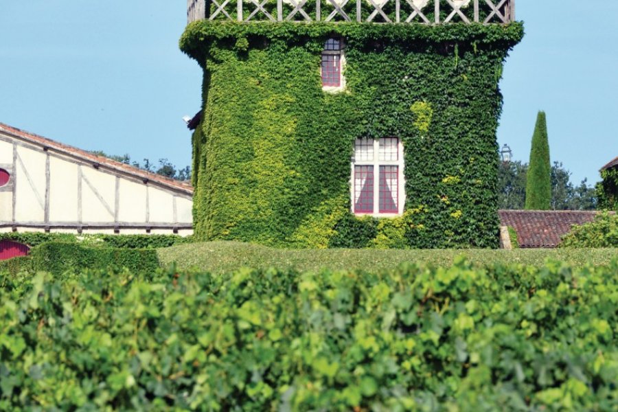 Château Smith Haut-Lafitte (© Xiongmao - Fotolia))