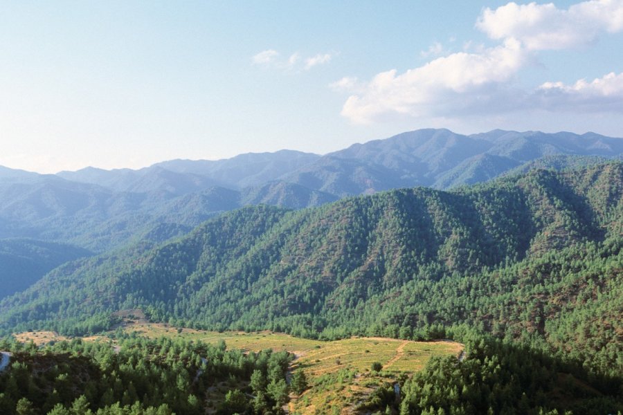 Forêt de Paphos et vallée de cèdres. Author's Image